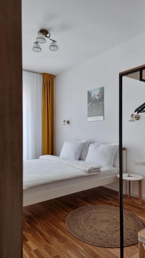 브라쇼브 Penthouse Cosmopolit 아파트 외부 사진