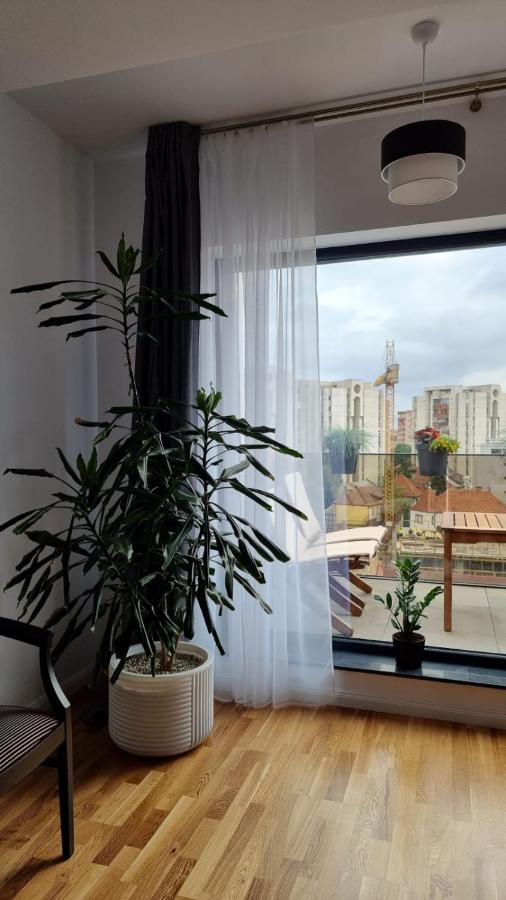 브라쇼브 Penthouse Cosmopolit 아파트 외부 사진